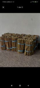 Bibit Stek Telo Papua Tua & Muda Berkualitas untuk pakan ternak dan mudah ditanam