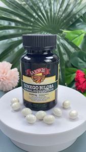 Ginkgo biloba capsule Brain Vitamins and Improve memory memory 60 capsule