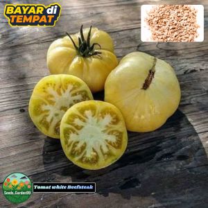 10 BUTIR BIJI/BENIH TANAMAN TOMAT WHITE BEEFSTEAK
