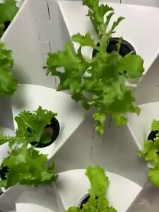 Water Cycle Growing Planter Farm Garden  New Vertical Hydroponic System