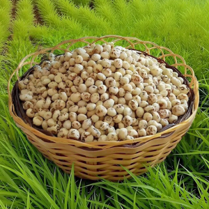 WENXIANGZAN | Natural Unprocessed Tiger Nut Snack