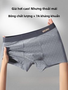 MiiOW | Quần lót nam Catman bằng cotton nguyên chất kháng khuẩn quần đùi mềm mại thoáng khí quần đùi nam mới 2024 thoải mái thoáng khí chống thấm nước