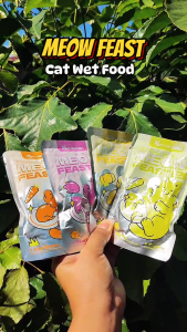 【PET RECORD】Cat Wet Food Bag Cat Real Meat Delish Nutrition Balance Best Cat Food Healthy 85g