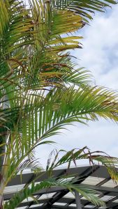 【For Stubborn Stain】Laugend Ultra Cleaning Salt Explosive Salt Sabun dobi wangi Sabun basuh baju viral Sabun cuci pakaian Stain removerSterilize Deodorant Whiten BrightenMagic cleanLaundry detergent powder eco putihkan hilangkan serbuk ajaib