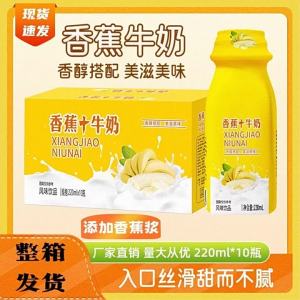 Nutritious Breakfast Milkshake Refreshing Summer Beverage 220ml 10 Bottles
