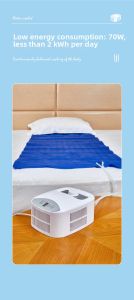 Semiconductor Water-Cooled Mattress Cooling Blanket Ice Pad Home Use Temperature Control Bedding for Patients And Students