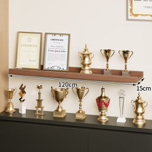 Wall Mounted Shelf for Awards