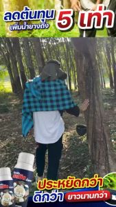 เซ็ทสุดพิเศษ วิตามินระเบิดน้ำยาง ฤกษ์งาม ยางดี เพิ่มผลผลิตน้ำยางกำไรที่มากขึ้นเป็น 5-10 เท่า น้ำยางไหลดี น้ำยางไหลนาน มีคุณภาพเปอร์เซ็นน้ำยางสูง ช่วยฟื้นฟูหน้ายาง ต้นยางตายนึง  ปลอดจากสารเร่ง สารเค้นน้ำยาง