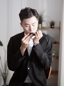 PLAYOU Swan Harmonica 10 Hole 20 Tones Harmonica C Blues Professional Harmonica (Sliver) blues harmonica blues harp