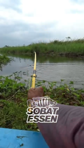 Sobat Essen Apel essen ikan nila paling gacor Ukuran 30-60ML essen untuk semua jenis ikan essen pancing super gacor