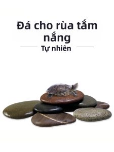 DABINGYANG | Natural Basking Platform Landscape Supply Stone