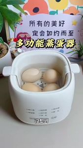Boiled Egg Steamer Automatic Power Off Home Intelligent Boiled Egg Ware Soft Boiled Egg Hot Spring Egg Breakfast Yogurt Machine 煮蛋器