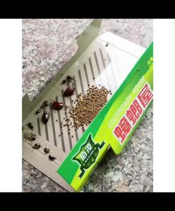 Kk. กาวดักแมลงสาบ กำจัดแมลงสาบ 1 กล่องบรรจุ 10 หลัง บ้านแมลงสาบ ดักแมลงสาบ อาทบ้านแมลงสาบ Insect Traps