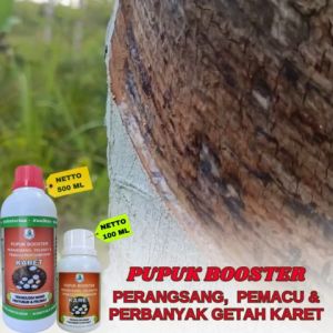 Pupuk Karet Terbaik Pupuk Karet Mati Getah Pupuk Cair Perbanyak Getah Karet Obat Penderas Getah Kare