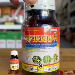 สารกำจัดตอไม้ กำจัดตอ คาเพอร์ ไตรโครเพอร์ สารกำจัดวัชพืช ใบกว้าง เครือเถา โสน ตอไม้ ต้นไม้ ฉีดทับอ้อย ข้าวได้เลย 250 ซีซี