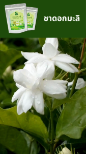 ชาดอกมะลิ (Jasmine Flower Tea) ตราไร่กฤติยา - ชาสมุนไพรดอกมะลิ กลิ่นหอม ดื่มง่าย ได้มาตรฐาน