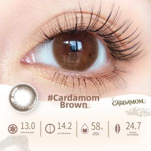 Pegavision | Natural Scented Small Diameter Daily Colored Contact Lenses 10 Pcs