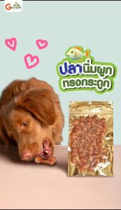 Get Well ปลานิ่มผูกทรงกระดูก ขนมหมา ขนมแมว เพื่อสุขภาพ ไม่ปรุงรส ย่อยง่าย Low Fat ลดการกินจุกจิก