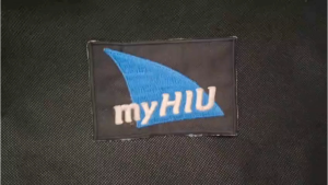 Filter Udara YAMAHA Vixion Saringan Hawa - Motorcycle Air Filter myHIU