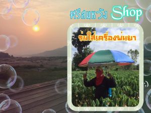 ชุด ร่ม ติด เครื่องพ่นยาแบตเตอรี่ ถังพ่นยาแบตเตอรี่ ร่มขนาด30นิ้ว +ขาตั้งร่ม ร่มกันแดด ร่มกันฝน