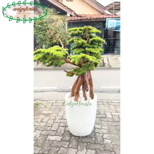 Pohon Bonsai Jumbo Pohon Artificial Latex Pot Semen Motif Pot Teraso Pajangan Sudut Cafe Sudut Ruang Kantor