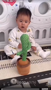 SKISOPGO Dancing Cactus Toy Educational Plush Toy  120 Songs Luminous Recording Learning To Speak