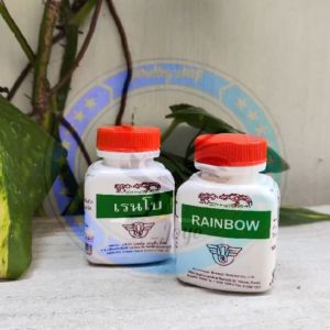 RAINBOW - penambahan semangat laga