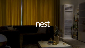 NEST DESIGN LAB Premium Heavy Duty ClothesClip Clothes Pin 50pcs with Basket - Laundry Essentials