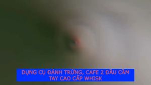 DỤNG CỤ ĐÁNH TRỨNG CAFE 2 ĐẦU CẦM TAY CAO CẤP WHISK