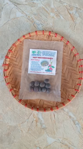 gói 10 hạt sen mini nhật bản giống mix 10 màu