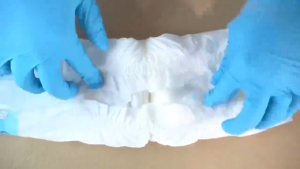 【 Buy 1 Take 1】 EGG 12/10Pcs Dog/Cat Diaper Male and Female Pet Cat Puppy Diaper XXS XS S M L XL