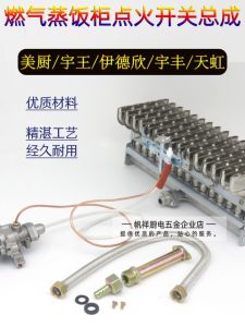 Commercial Kitchen Appliance Igniter for Liquid Propane Steam Oven Rice Cooker Self-Lightning Flame out Protection Accessory