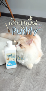 ผลิตภัณฑ์ทำความสะอาดพื้น Puddy