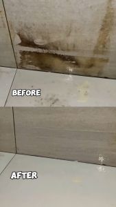 Bisop Cleaner Pembersih Keramik Kamar Mandi Yang Membandel 500ml Ampuh dan Bergaransi 100%