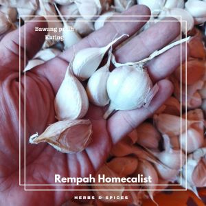 Bawang Putih Kating Bersih 1/2kg Bumbu Masakan Bumbu Dapur
