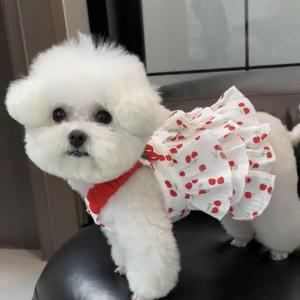 Princess Style Breathable Summer Dress for Small Dogs Thin Lightweight Teddy Bichon Pomeranian Dog Skirt Pet Clothes Accessories
