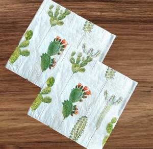 Party Dinner Napkin Serviette Disposable Paper Tissue - Colour Green Desert Cactus Flower Plant Print [NSP109]