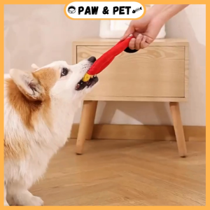 Cute Soft Pet Squeaky Toys Bite Resistant Pet Plush Toys With Sound Interactive With Pets For Cat & Dogs