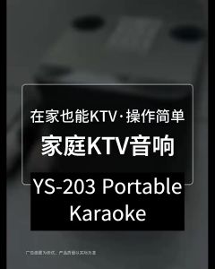 YS-203 Portable Karaoke Wireless Set Dual Microphone for Family Birthday Gift Christmas Gift