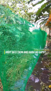 Plastic Fence Mesh – Chicken Net Screen for Poultry & Garden Use