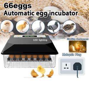 CELOGLO Incubator Fully Automatic Rotation Egg Incubator Intelligent Digital Hatcher Brooder with Dual Power