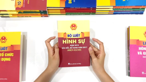 Sách  - Bộ luật hình sự Năm 2015 sửa đổi Bổ sung năm 2017 (Hiện Hành) B129 - ndbooks