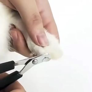 pet nail clipper gunting kuku pet gunting kuku hewan kuku anjing kuku kucing SH A09