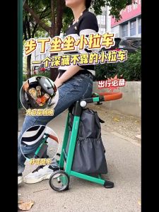 Multifunctional Shopping Cart with Detachable Bag and Foldable Seat - Lightweight Portable and Waterproof