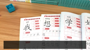 9pcs Chinese characters hanzi Pen Pencil writing books exercise book learn Chinese kids adults beginners preschool workbook全套6本学前300字幼儿园汉字描红本3-6岁幼儿童大班写字本练字帖