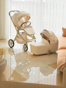 Hagaday | Portable Newborn High-View Baby Stroller