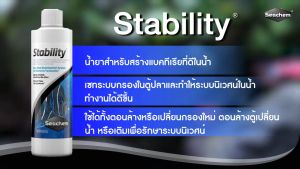 ❇️500 ml.❇️Stability 🦠แบคทีเรียน้ำ สร้างกรองชีวภาพ ✅ใช้ได้ทั้งน้ำจืดและน้ำทะเล ปลอดภัยกับปะการังและไม้น้ำ