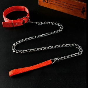 Jiaxun | Stainless Steel Dog Leash