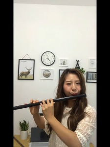 Flute Recorder Anime Flute Bamboo Traditional Transversal Handmade Horizontal Flute Beginners Chinese Instrument