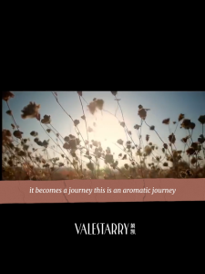 Valestarry Reed Diffuser Premium Long-Lasting Fragrance Aromatherapy Bedroom Living Room Bathroom